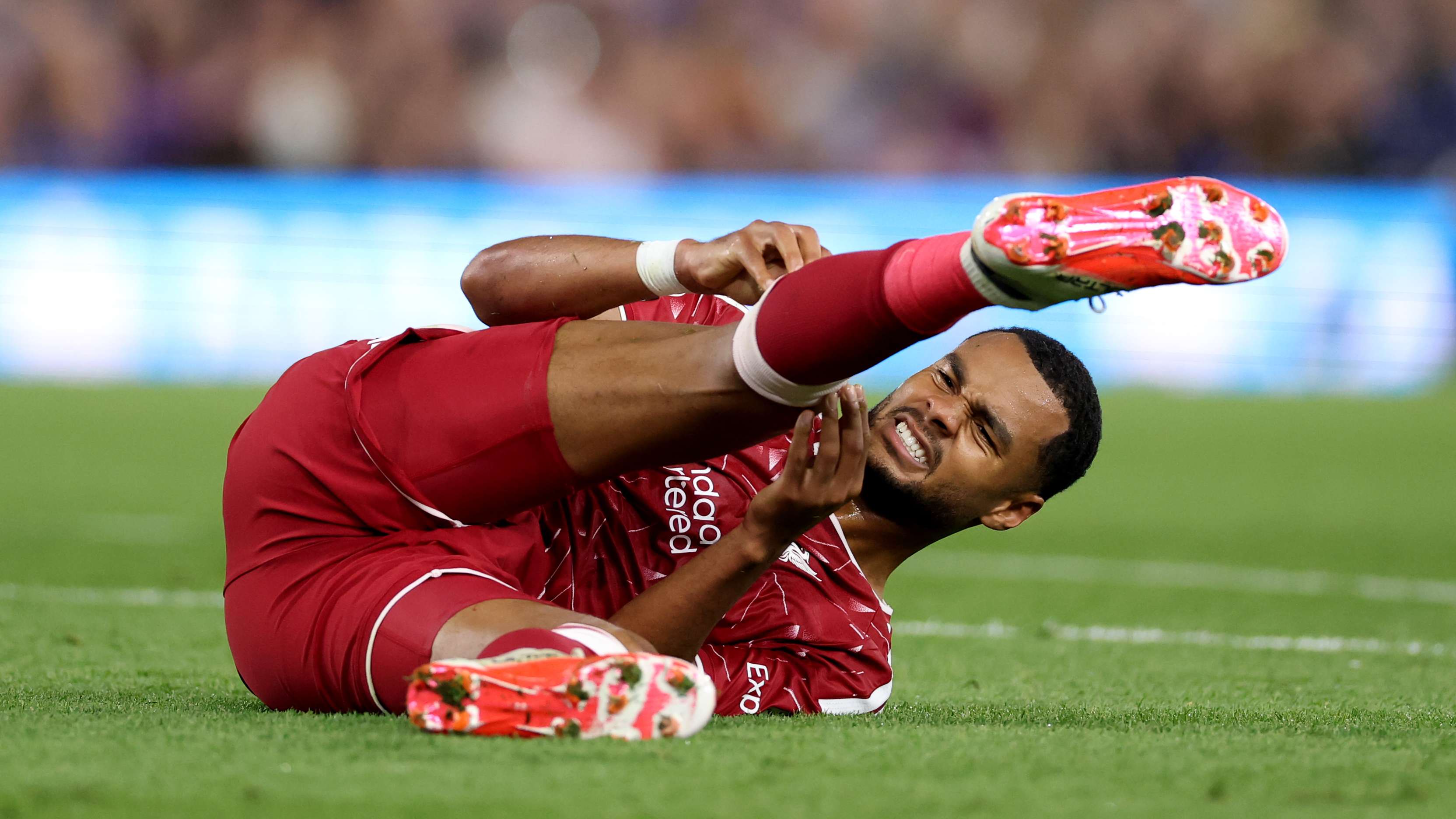 Gakpo Doubtful for Fulham Clash as Liverpool Battle Adductor