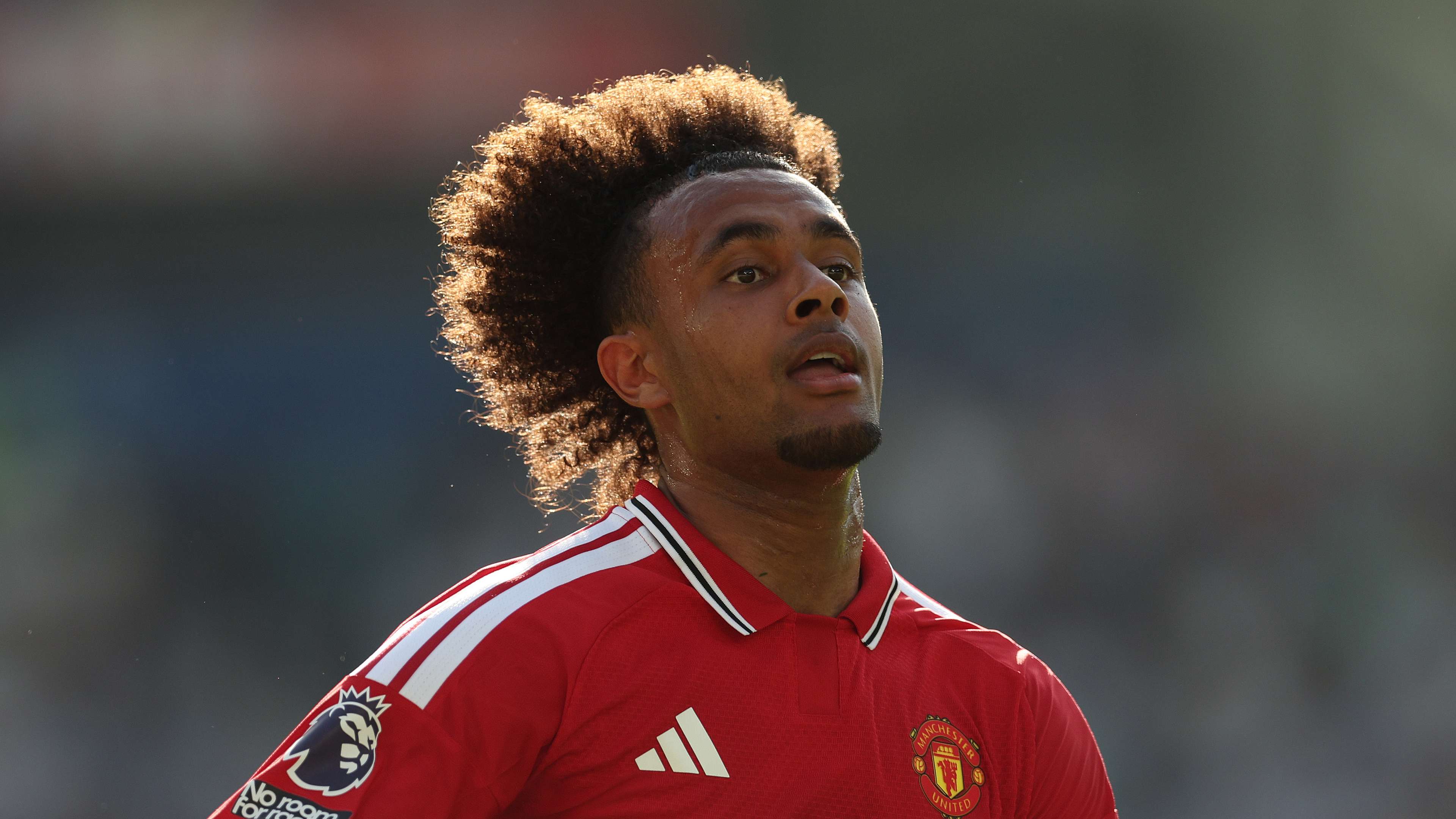 Zirkzee Impresses Manchester United with "Greatest