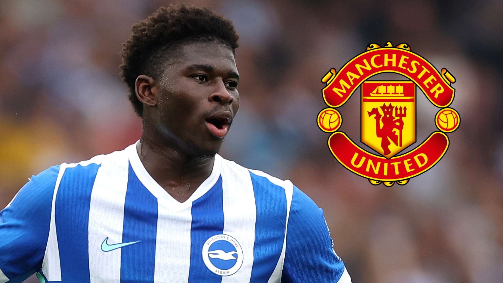 Carlos Baleba Could Be "Good Signing" for Man Utd, Says