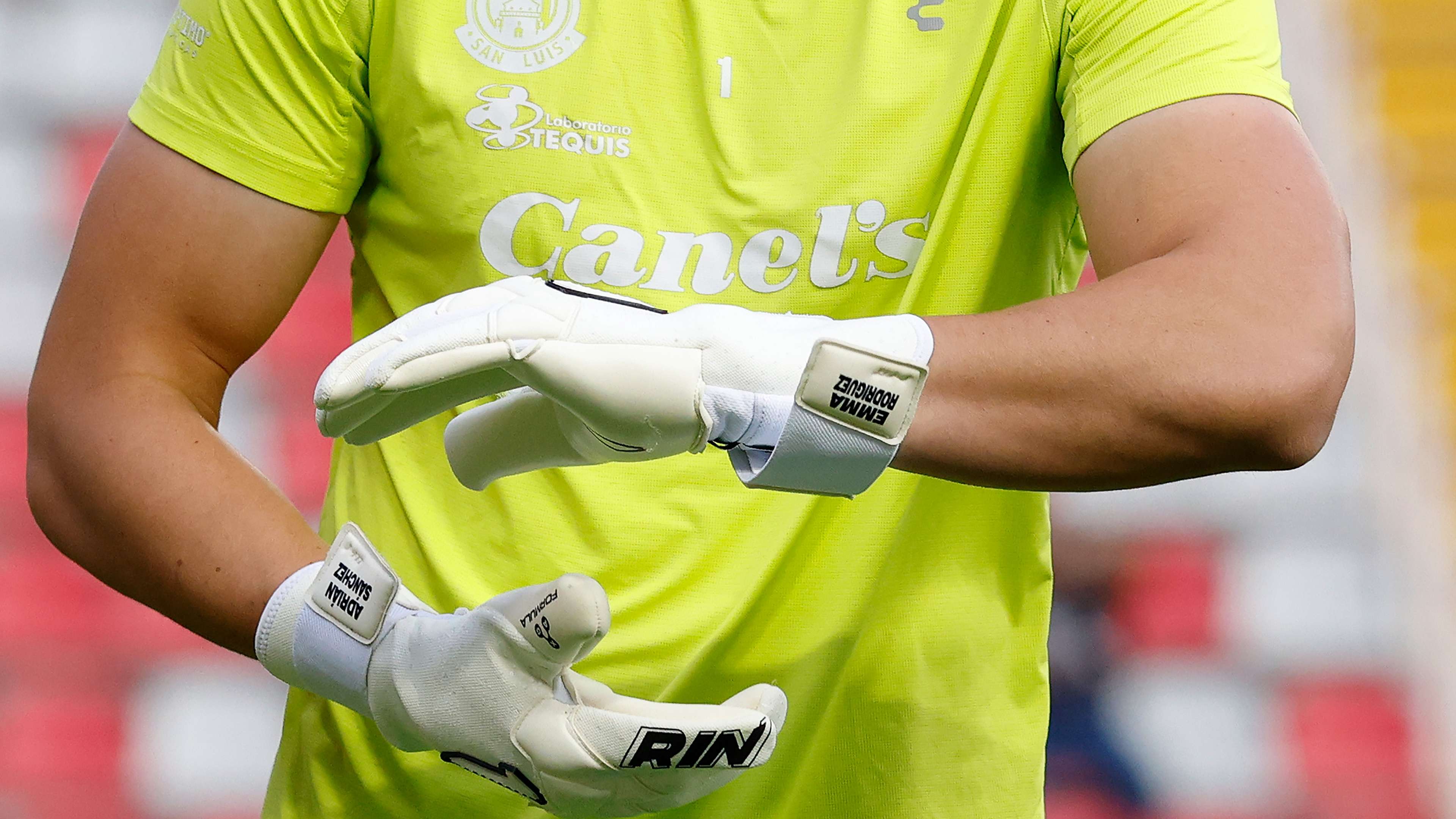 Al-Diriyah Signs Al-Bukhari as Goalkeeper on Free Transfer